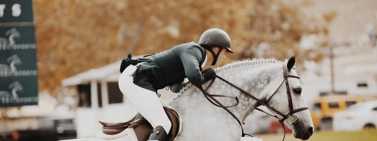 Foto wedstrijd paardensport bij KNHS blog over samenwerking met WOM